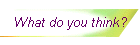 What do you think?