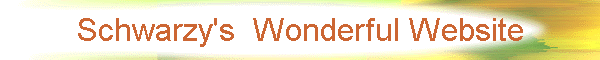 Schwarzy's  Wonderful Website