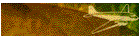 Ascii Nick Names